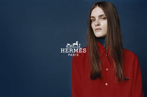 hermes 4|Hermes website.